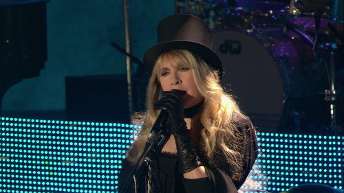 Stevie Nicks - Live in Chicago