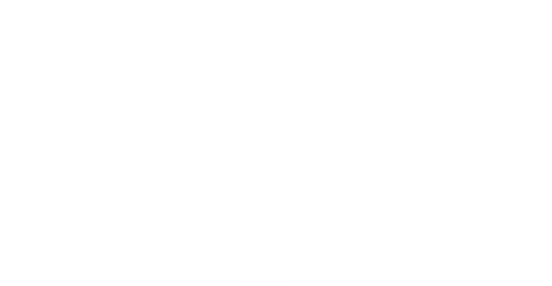Stick