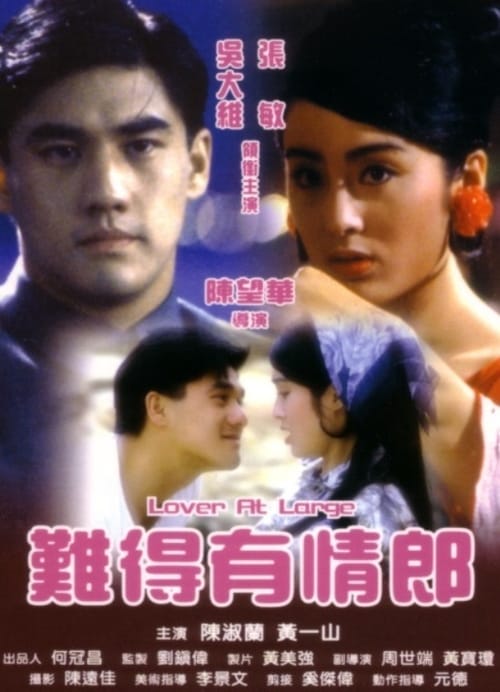 Poster 難得有情郎 1991