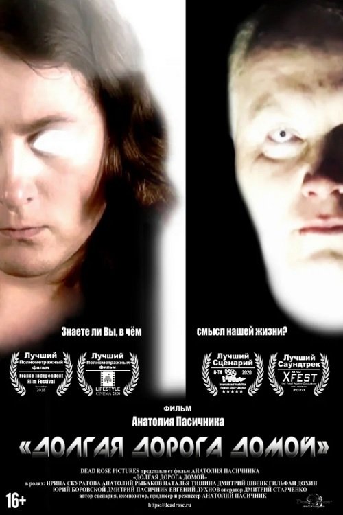 Долгая дорога домой movie poster player