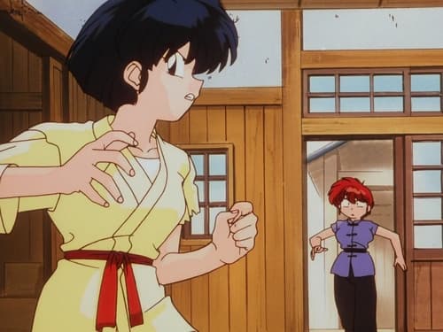 Poster della serie Ranma ½ OAV