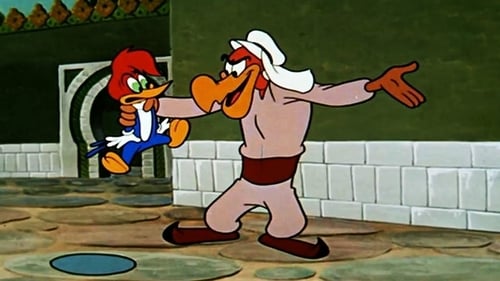 Poster della serie The Woody Woodpecker Show