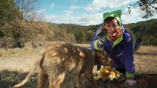 Image de l'épisode 37