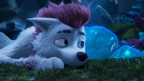 200% Wolf Backdrop Blur