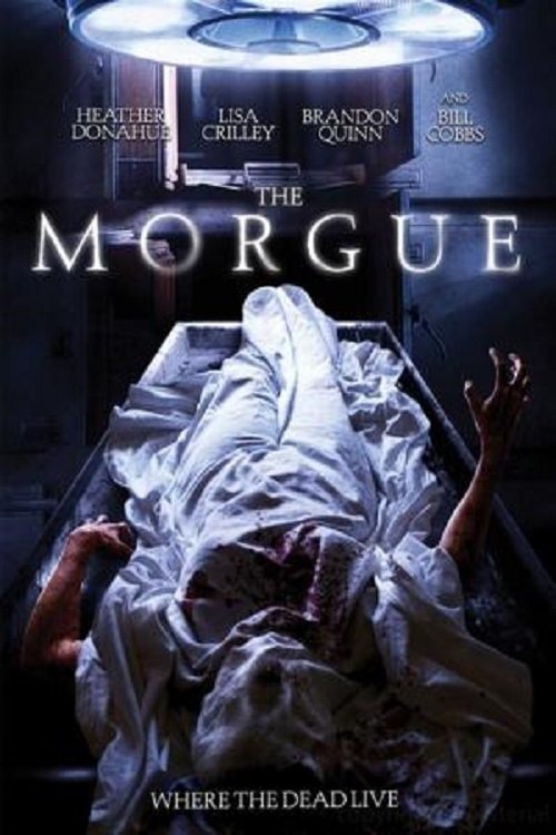 Morgue - 2019 Morgue - 2019