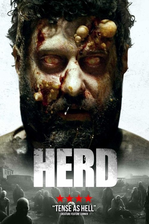 Poster 6