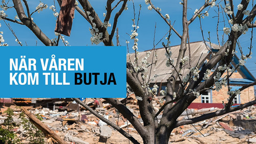 When Spring Came to Bucha — Backdrops 2