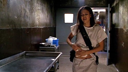 Dark Angel, S02E13 - (2002)