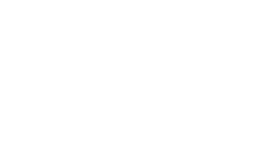 Tokyo Fiancée