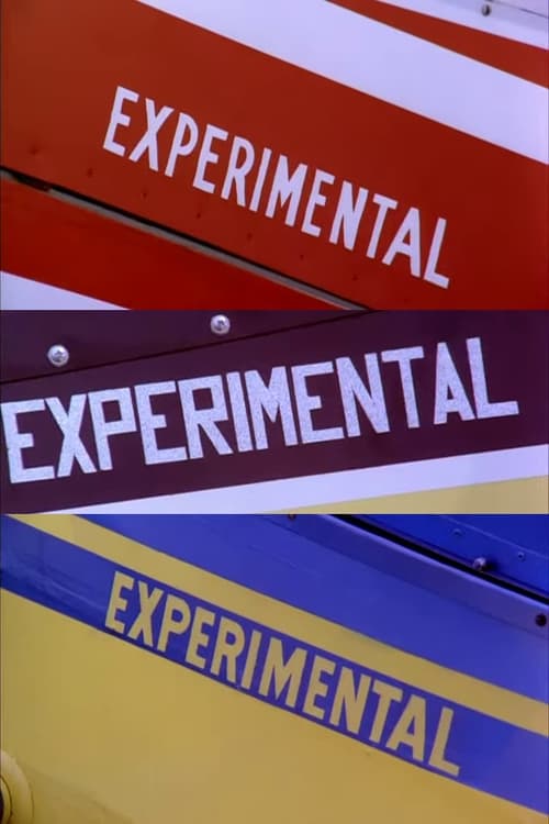 Experimental (1974) poster