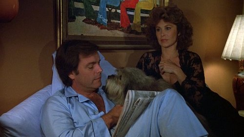 Poster della serie Hart to Hart
