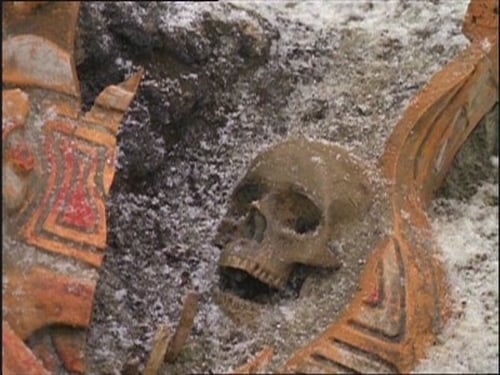 The X-Files S03E18 — Teso Dos Bichos episode still