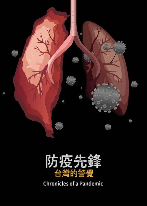 Chronicles of a Pandemic