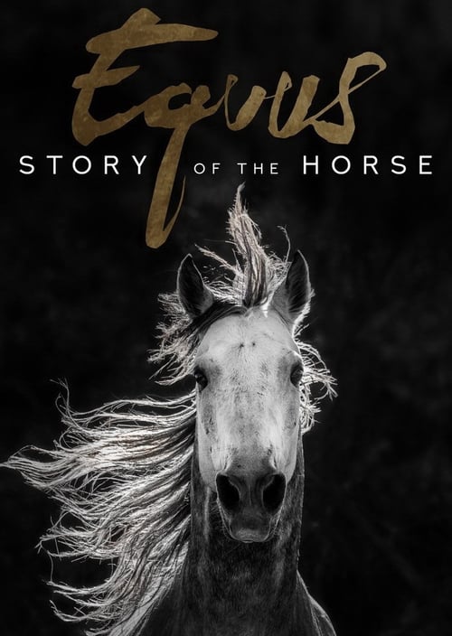 Poster Equus, une histoire de chevaux et d'hommes 2019