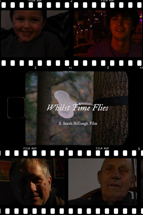 Whilst Time Flies poster
