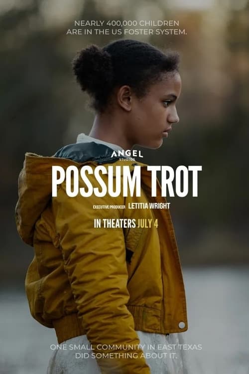 Possum Trot movie poster