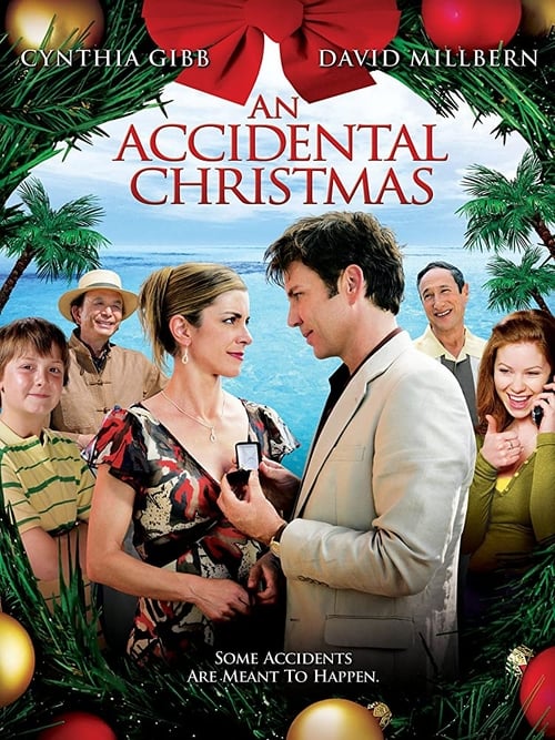 An Accidental Christmas 2007