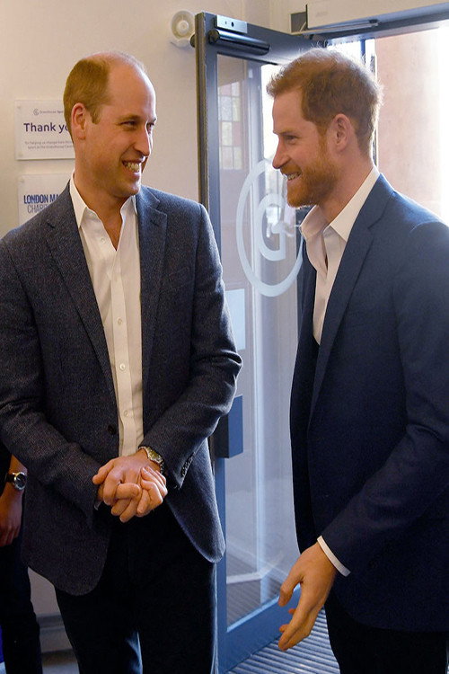 William et Harry : qui sont-ils vraiment ?