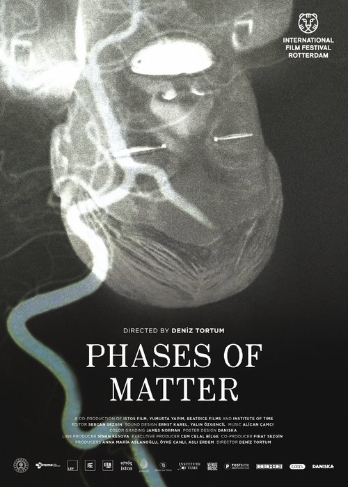 Phases of Matter poster