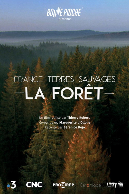 France terres sauvages : La Forêt