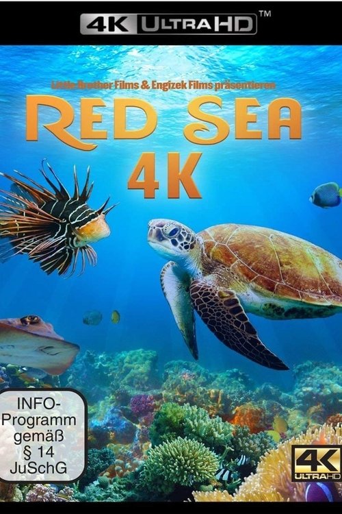 Red Sea poster