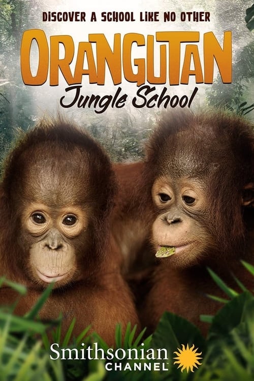 Poster Orangutan Jungle School