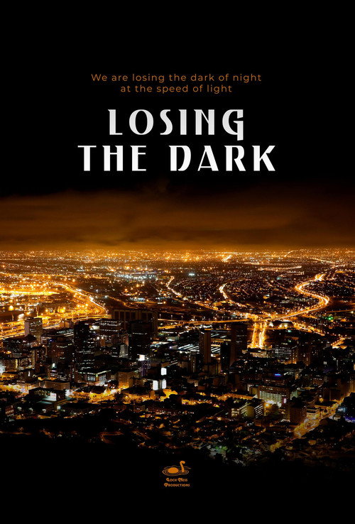 Losing the Dark poster
