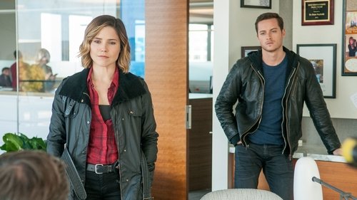 Chicago P.D. Distrito 21: 3×10