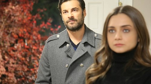 Image de l'épisode 13