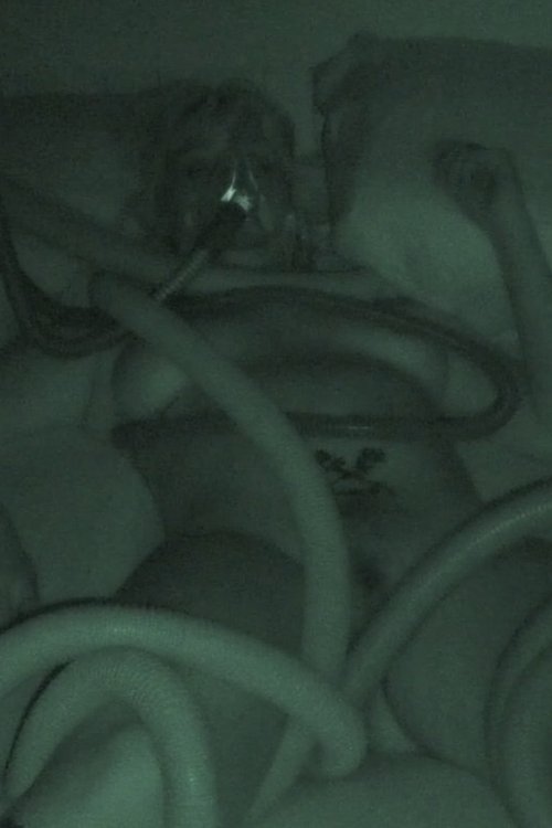 Sumptuous Summer 2019 poster