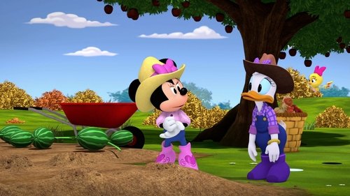 Image de l'épisode 17