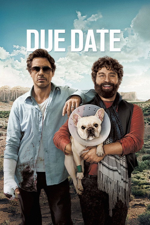 Poster 16 for Due Date