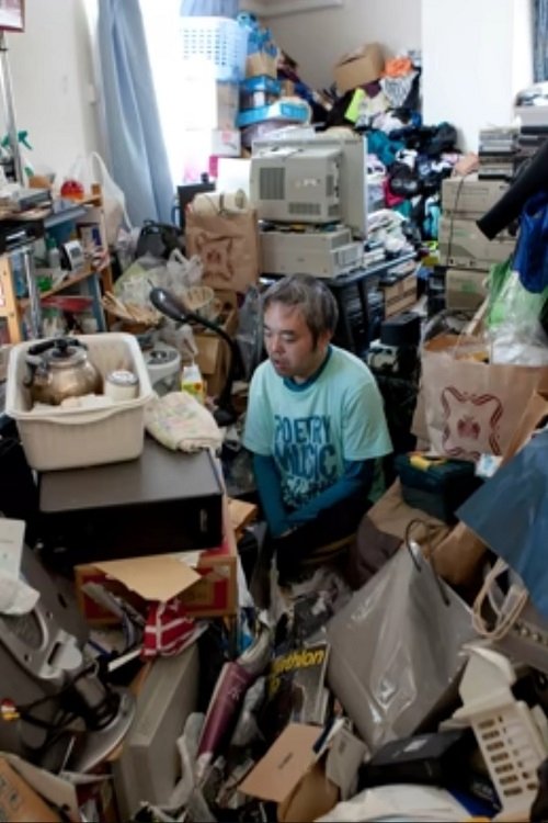 蛰居族 ：日渐隐去的日本人 (2017) poster