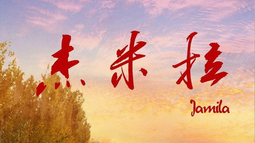 杰米拉 Backdrop Blur