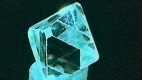 Image de l'épisode 219