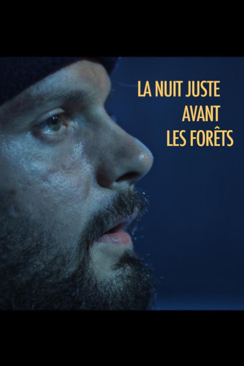 The Night Just Before the Forests poster