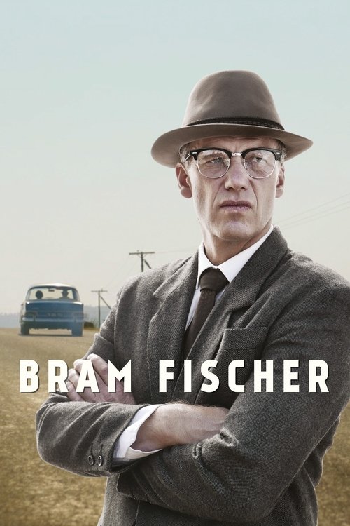 Grootschalige poster van Bram Fischer