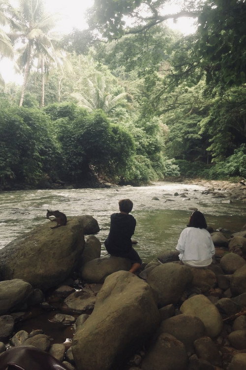 Without Doubt