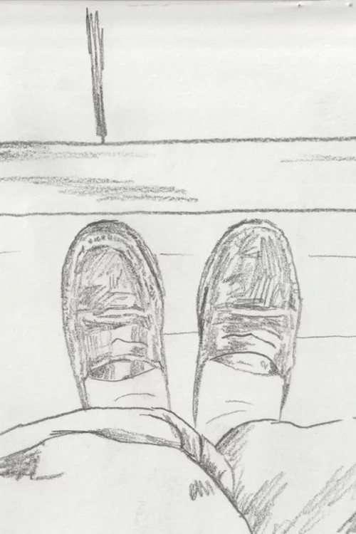 An Ode to The Pigeon