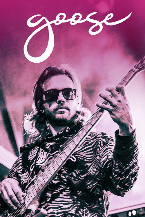 Goose: 2020.09.17 - South Farms - Morris, CT