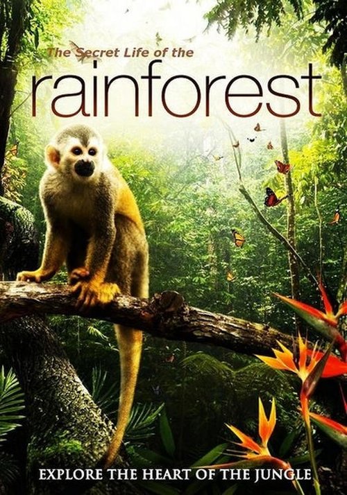 Assistir The Secret Life of the Rainforest Online