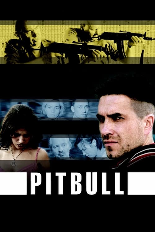 Poster Pitbull