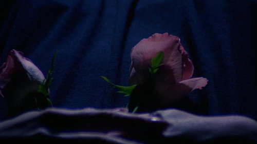 Image du film