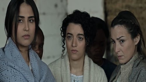 Image de l'épisode 14