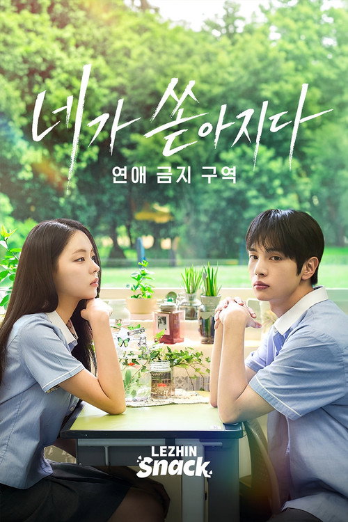 네가 쏟아지다 : 연애 금지구역