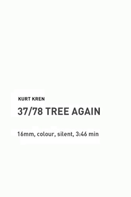 37/78: Tree Again 1978