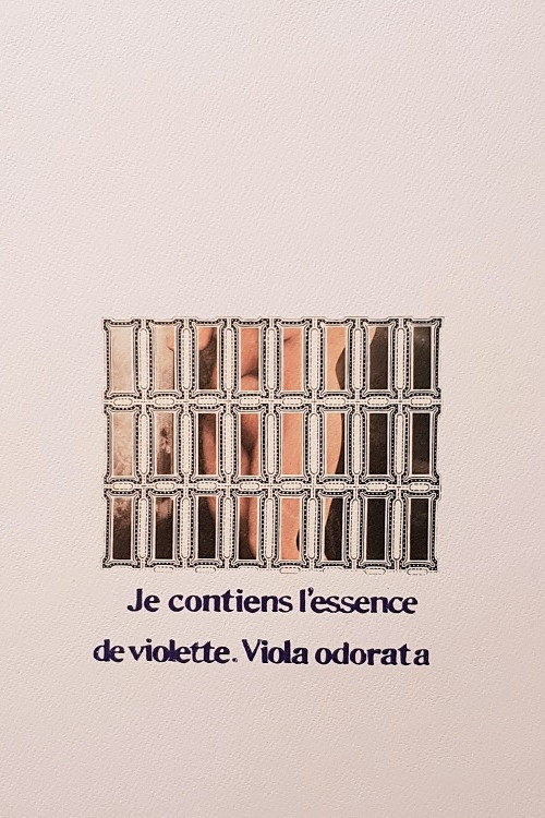 Vladimir Propp- Profumo di lupo