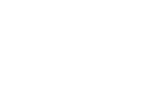 Brick Mansions