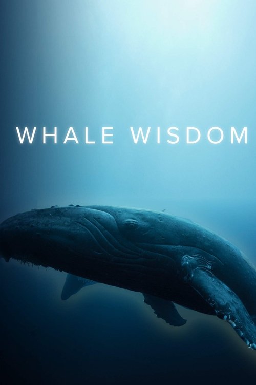 Whale Wisdom 2018