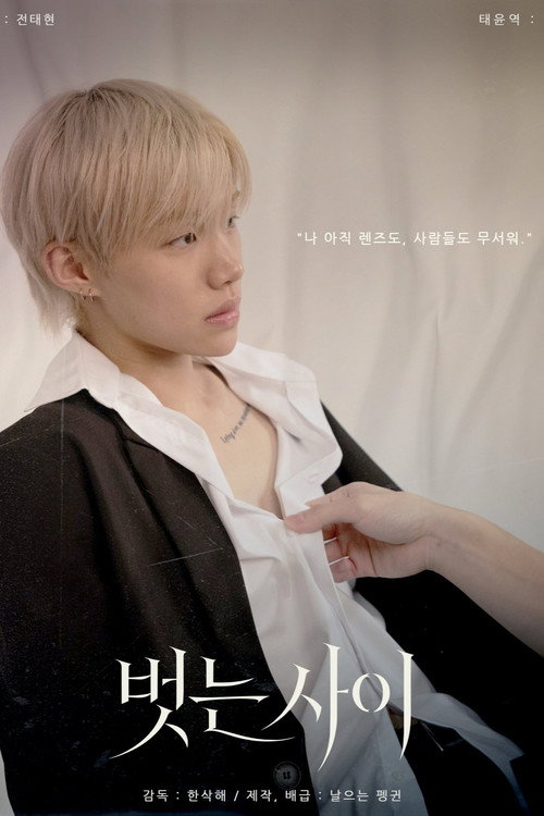 Poster (Koreanisch)